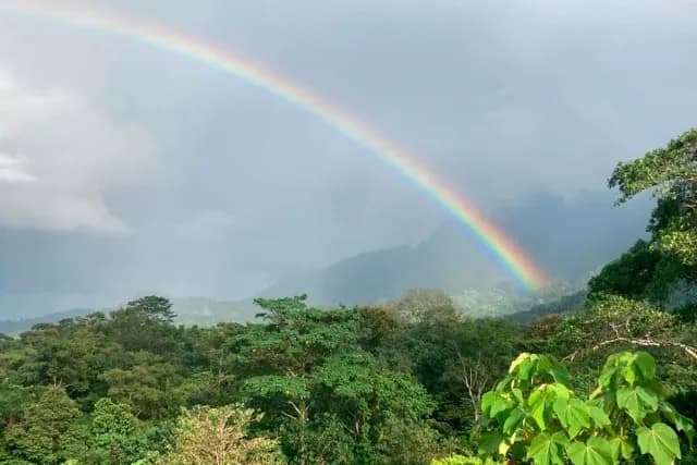 Rainbow above the rainforest in Uvita