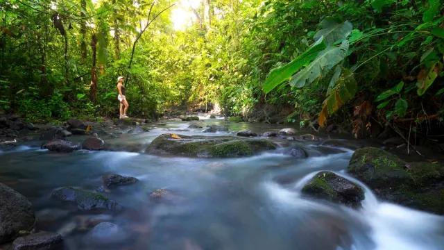 Visitor admiring the river in the middle of the rainforest