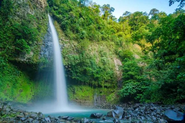 Waterfall falling from green forests