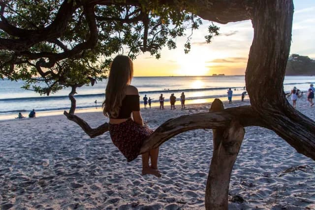 Girl sitting on a branch watching the sunset on a sandy beach