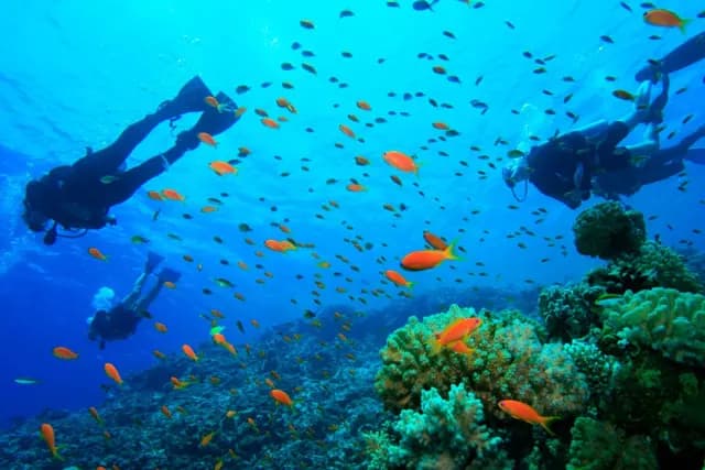 guanacaste-scuba-diving.jpg