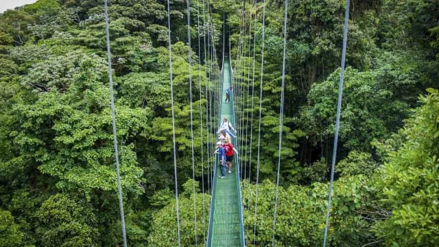 Group crossing a hanging bridge in the rainforest