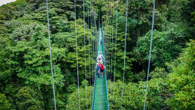 Group crossing a hanging bridge in the rainforest