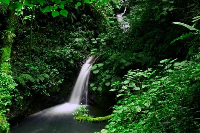 monteverde-waterfall.jpg