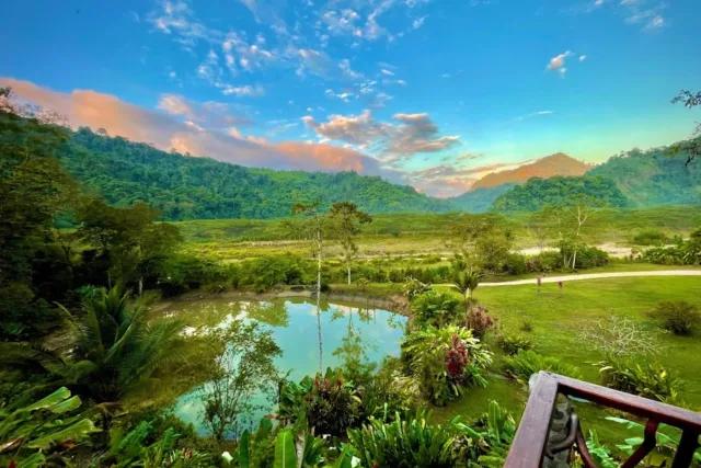 Garden views & rainforest at dawn in Rafiki Lodge