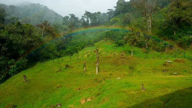 Green fields in San Ramón with rainbow
