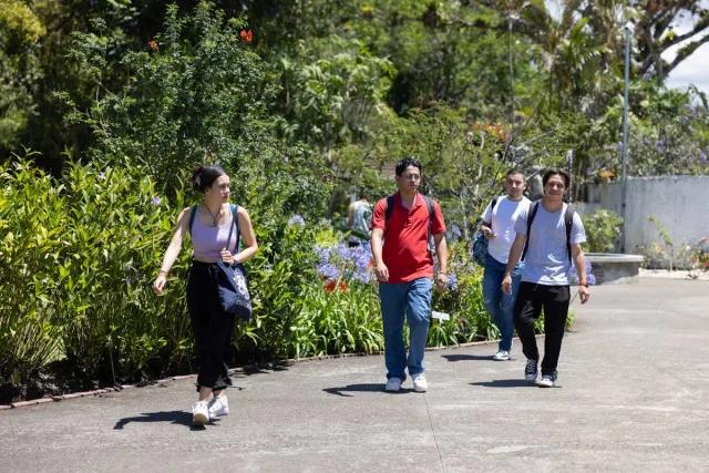 Students walking along campus