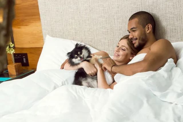 Couple with small dog in hotel bed